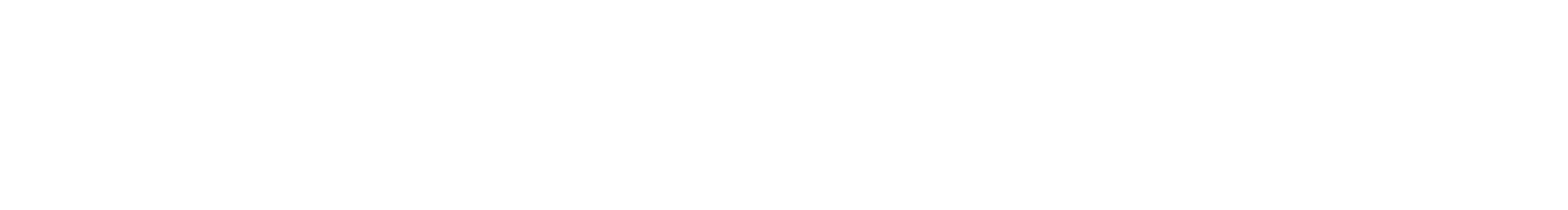 مدارس الرواد الدولية